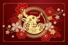Знаете ли, че днес започва китайската нова година? Прочетете няколко интересни факта за празника!