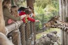 Входът за зоопарка в Ловеч ще е безплатен за деца на 1 юни