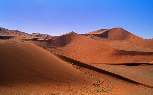 Какво са пустините – определено не това, което много от нас предполагат