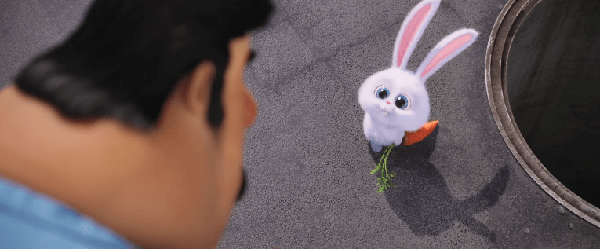 Снежинка – малкото пухкаво зайче с неподозирана същност