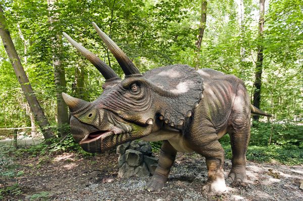 Трицератопс, тиранозавър, стегозавър – откъде динозаврите са получили тези сложни имена?