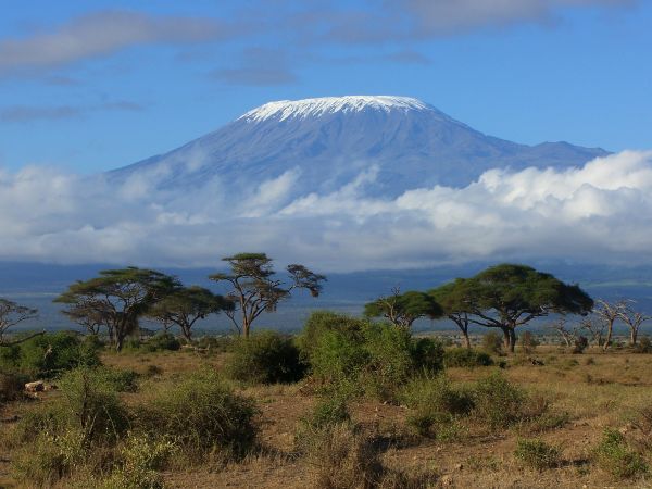 8-годишно момиче изкачи връх Килиманджаро