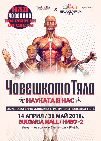 Образователна изложба „Човешкото тяло – науката в нас“ гостува в София до 30 май