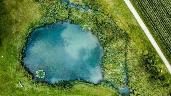 Пет причини, които ще ви накарат да се възхищавате на водата