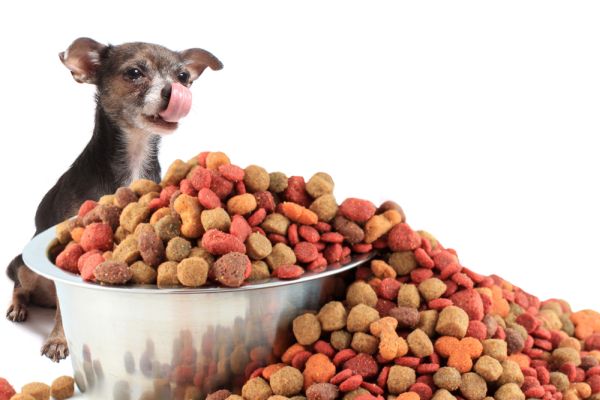 Можете ли да се досетите какво точно има в кучешката храна?