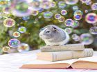 Снимка: boredpanda.com