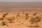Необятната Сахара
