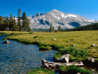 Гордостта на Калифорния е националният парк Йосемити