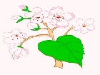 Цветница
