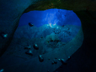 Тайните на най-дълбокото място в океана 