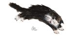 Котешки истории за деца от Джеймс Джойс за първи път в България
