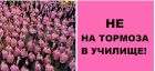С розови фланелки срещу тормоза в училище