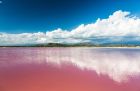 В света съществуват и такива неща като розови езера