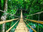 С нас по моста минете и на тропическите гори се удивете!