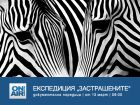 Какво е да си пазител на дивата природа – в поредицата „Експедиция „Застрашените“