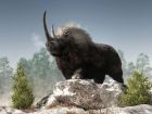 Откриха останки на нов вид гигантски носорог, живял преди 26,5 милиона години