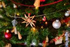 10-метровата коледна елха в София ще заблести на 1 декември