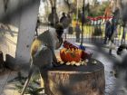 Образователна инициатива, посветена на екологията, започва във Варна