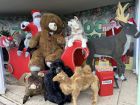 Коледна приказка в Зоопарк Бургас – огромни подаръци и безплатен вход за деца Коледна приказка в Зоопарк Бургас – огромни подаръци и безплатен вход за деца
