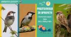 Стани експерт по птиците: „Работилница за врабчета“ ни очаква в столичния зоопарк