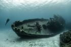 Разкриха загадка от дъното на морето: Водолази откриха древен римски кораб с древни съкровища!
