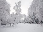 Вали, вали, парцалко!