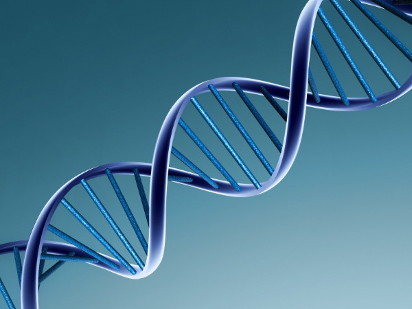 Учени откриха най-старата човешка ДНК