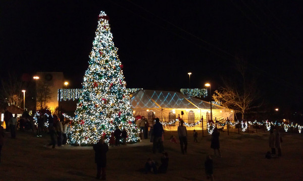 Коледната елха в София ще заблести на 1-ви декември