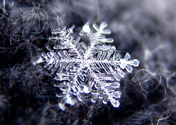 Снегът и науката – отговори на всички ваши въпроси за най-важното явление през зимата