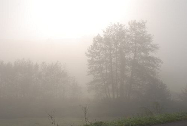 Тайнствената мъгла и как се образува тя
