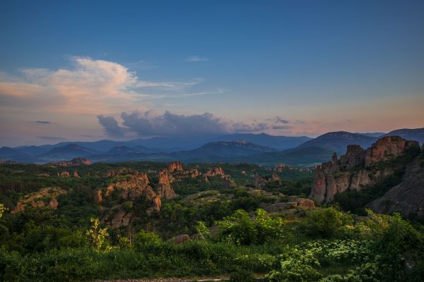 Уикипедия търси фотографи от всякаква възраст за участие в конкурс