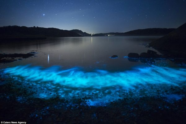 Морета, които светят като звездно небе