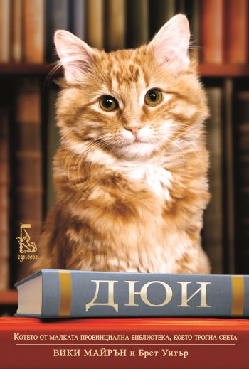 „Дюи – котето от малката провинциална библиотека, което трогна света“ докосва сърцата на хората с любов