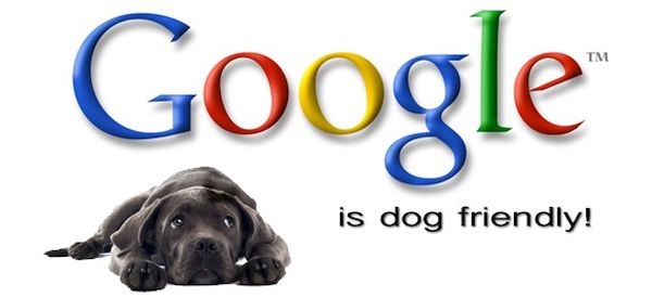 Куче тук, куче там... Кучетата превземат Google 