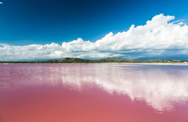 В света съществуват и такива неща като розови езера