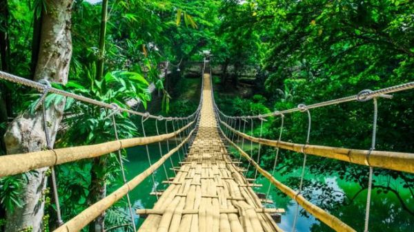 С нас по моста минете и на тропическите гори се удивете!
