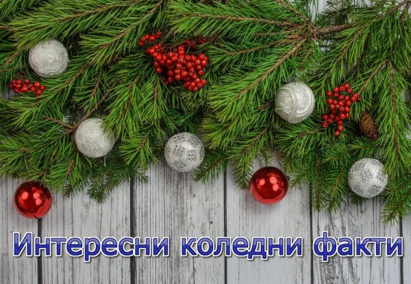 15 интересни факта за Коледа