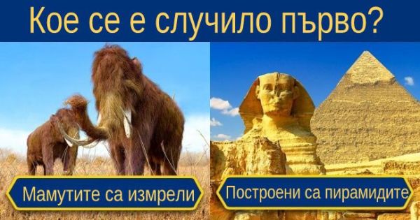 Кое се е случило първо: няколко факта, които ще преобърнат представата ви за времето