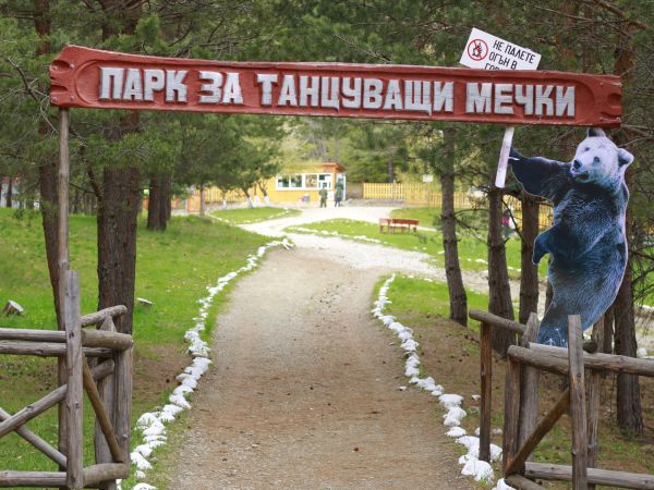Отварят за посетители парка за танцуващи мечки край Белица