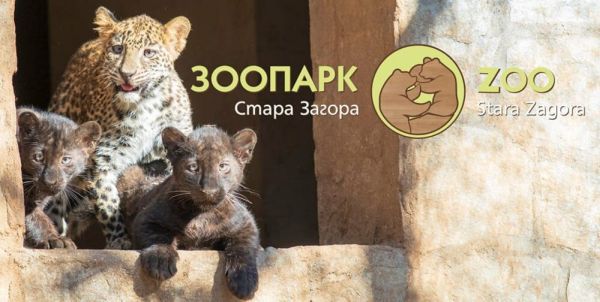 Две черни пантерки и едно леопардче от Старозагорския зоопарк си търсят имена