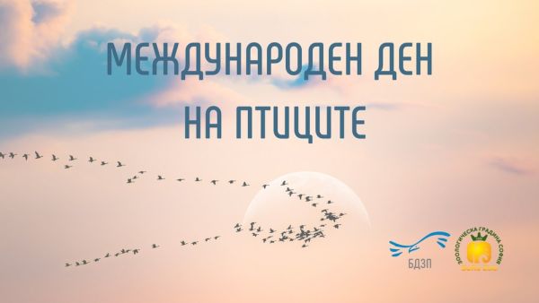 Наблюдение на хищните птици и артзанимания ще бъдат организирани в Зоологическата градина в София 