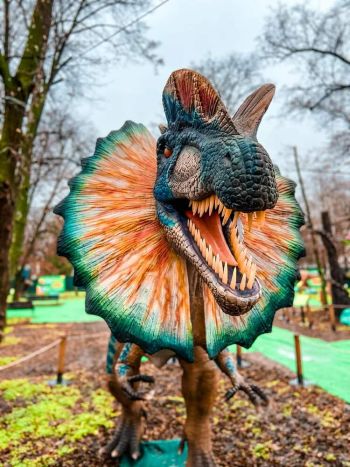 Изложба на динозаври гостува в Перник