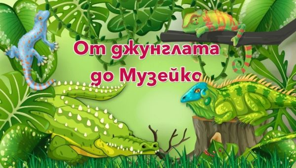 Влечуги от далечните джунгли са изложени в „Музейко“