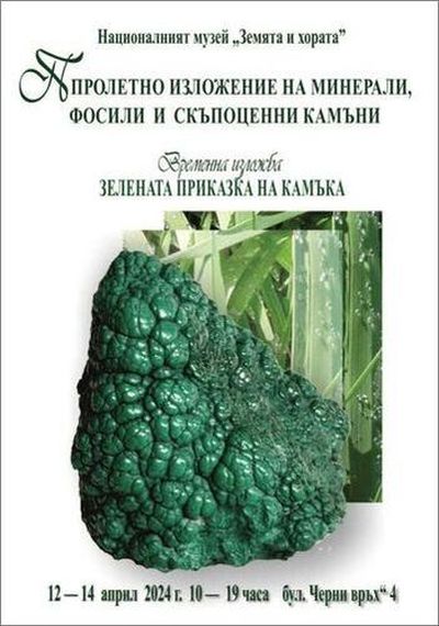 Изживейте „Зелената приказка на камъка“ с пролетно изложение на минерали, скъпоценни камъни и фосили в музей „Земята и хората“