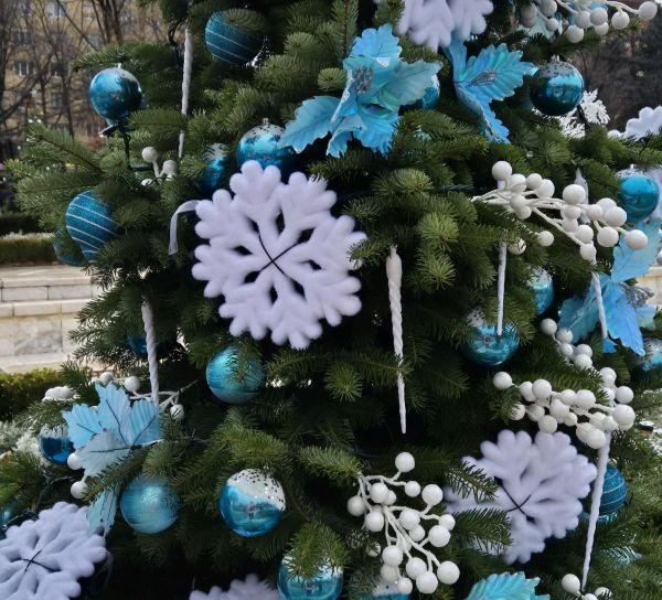 Навръх Никулден: Варна запалва коледната елха!