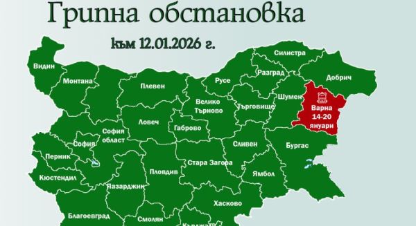 Важно за учениците във Варна: Учим онлайн до 20 януари заради грипа Важно за учениците във Варна: Учим онлайн до 20 януари заради грипа