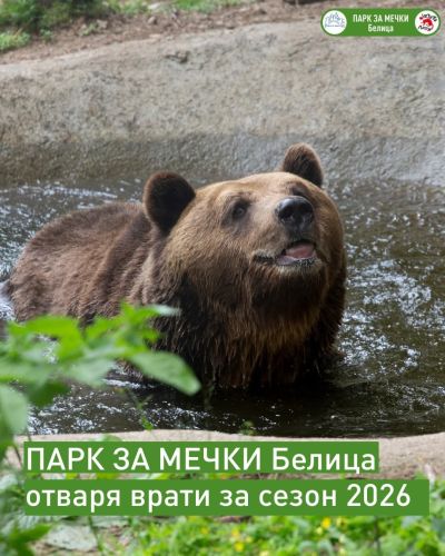 Пролетно пробуждане: Мечетата в Белица ни очакват от 1 април Пролетно пробуждане: Мечетата в Белица ни очакват от 1 април