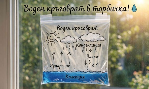 Как да хванем кръговрата на водата в торбичка? (забавен STEM експеримент) Как да хванем кръговрата на водата в торбичка? (забавен STEM експеримент)