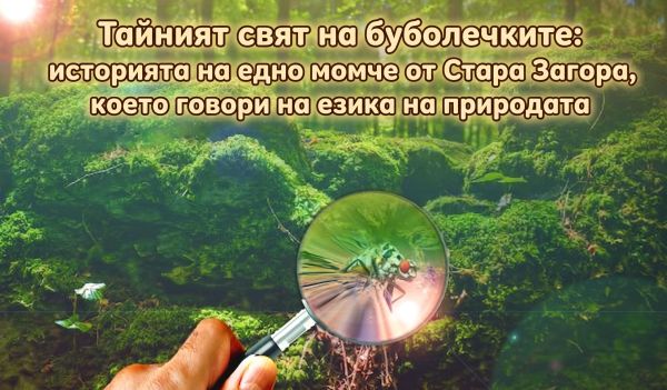 Тайният свят на буболечките: историята на едно момче от Стара Загора, което говори на езика на природата Тайният свят на буболечките: историята на едно момче от Стара Загора, което говори на езика на природата