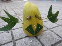Чудни чудовища